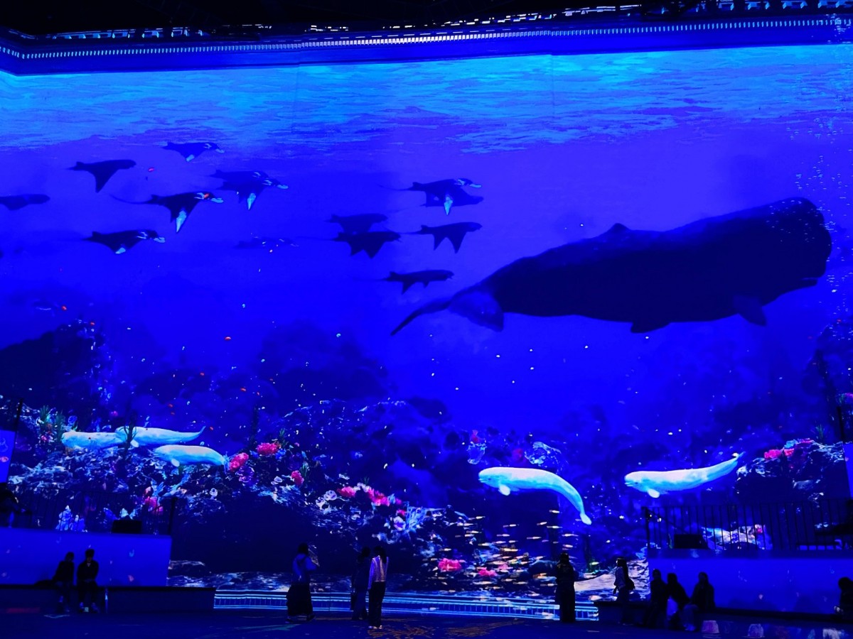 2521b36d608d2b37223688bafb426182_1775911